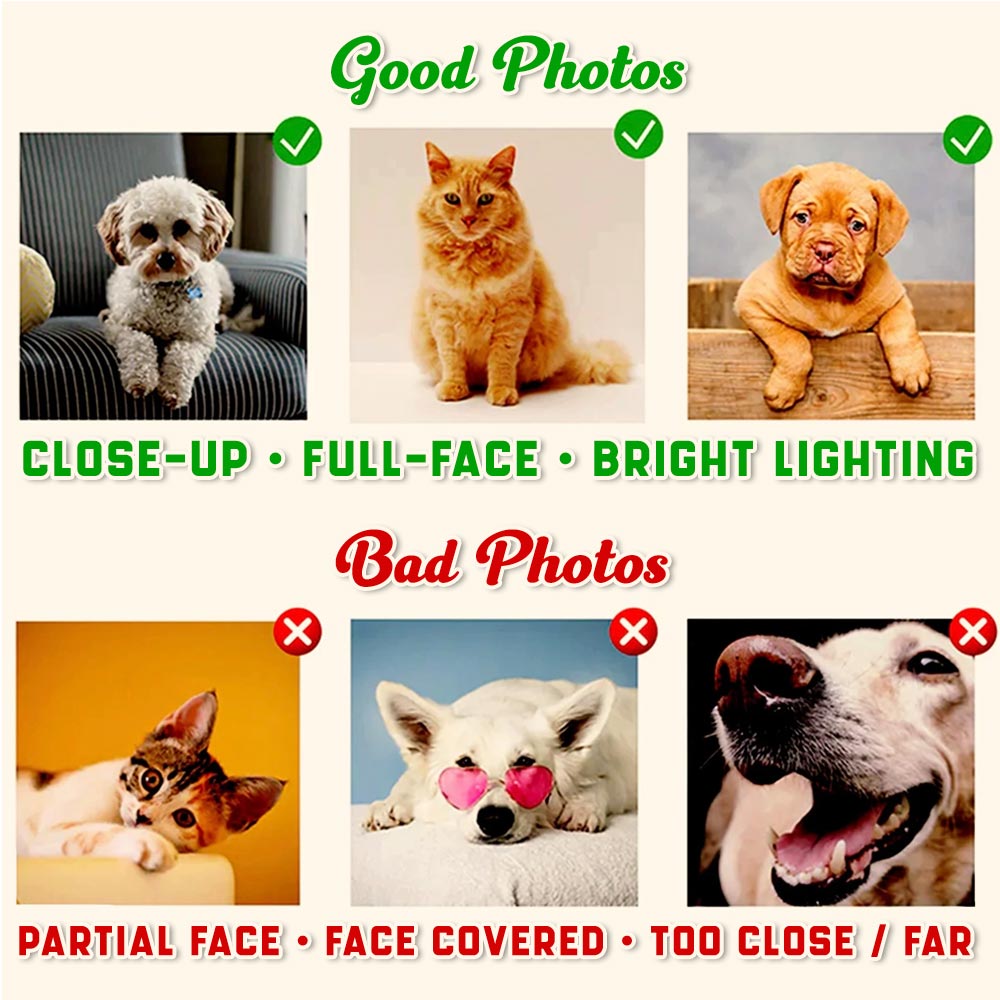 PET PORTRAIT PHOTO HOODIE