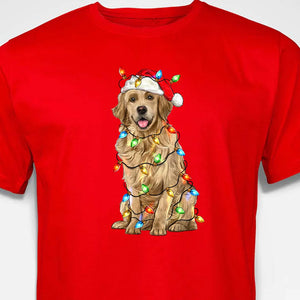 Santa Retriever (Adult)